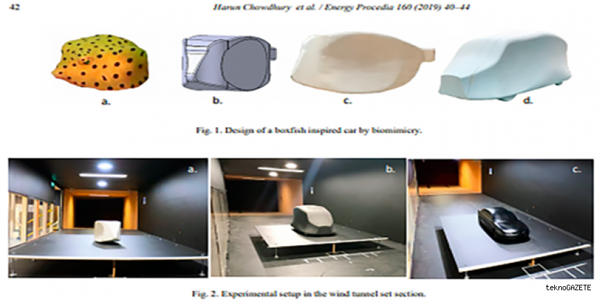 Bilim Doğanın Derinliklerinde