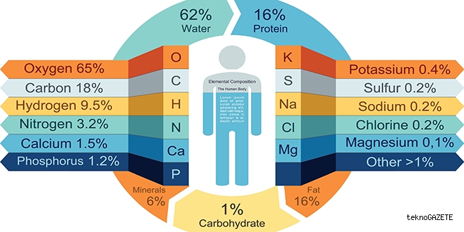 İnsan Vücudundaki Kimyasal Elementler